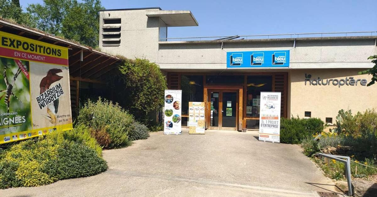 La Grotte Apartamento Sérignan-du-Comtat Exterior foto